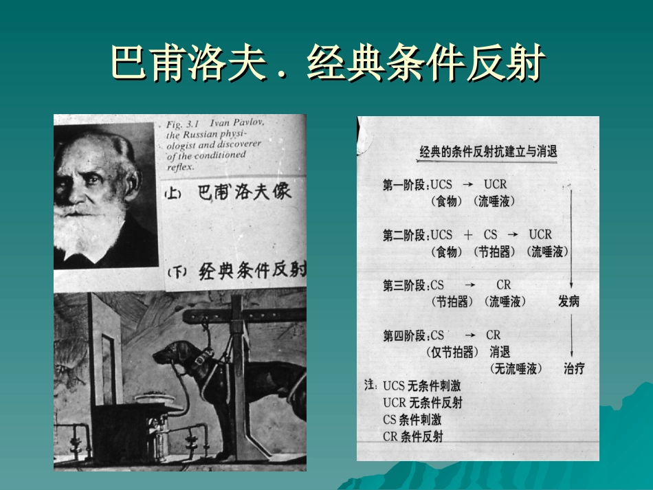 行为主义疗法.ppt_第2页