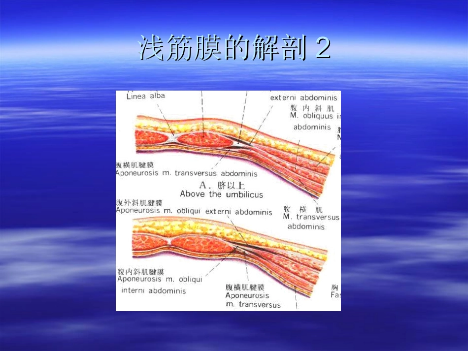 臀肌筋膜炎powerpoint资料.ppt_第3页