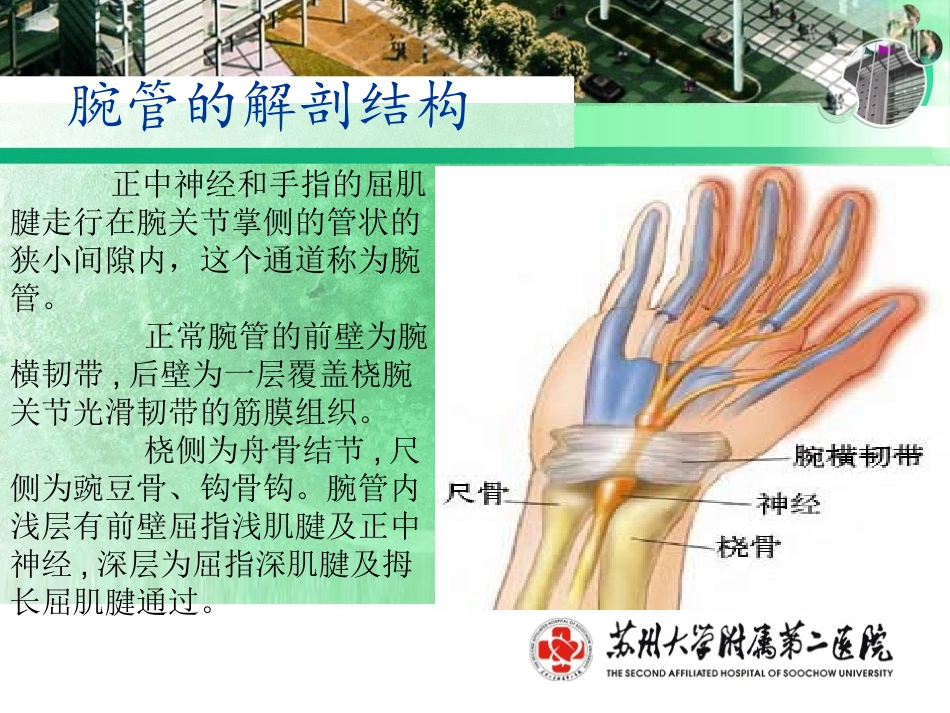 腕管综合症-手外科.ppt_第3页