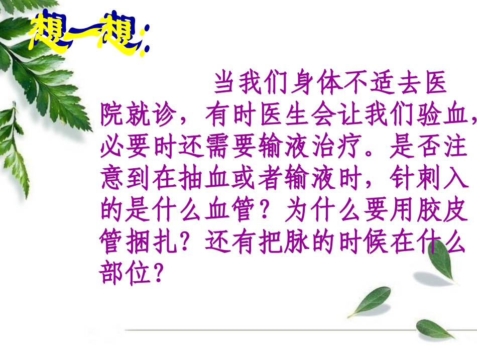 通常具有防止血液倒流的静脉瓣.ppt_第3页