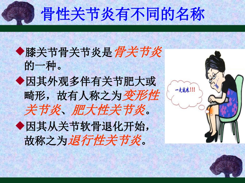 膝骨关节炎的防治..ppt_第3页
