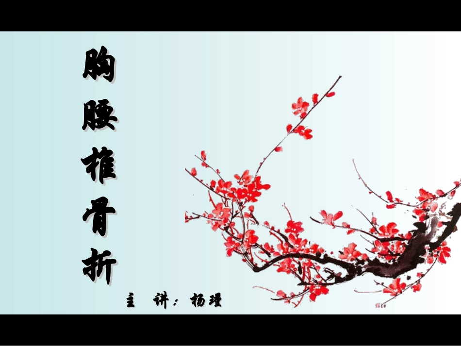 胸腰椎骨折.ppt_第1页