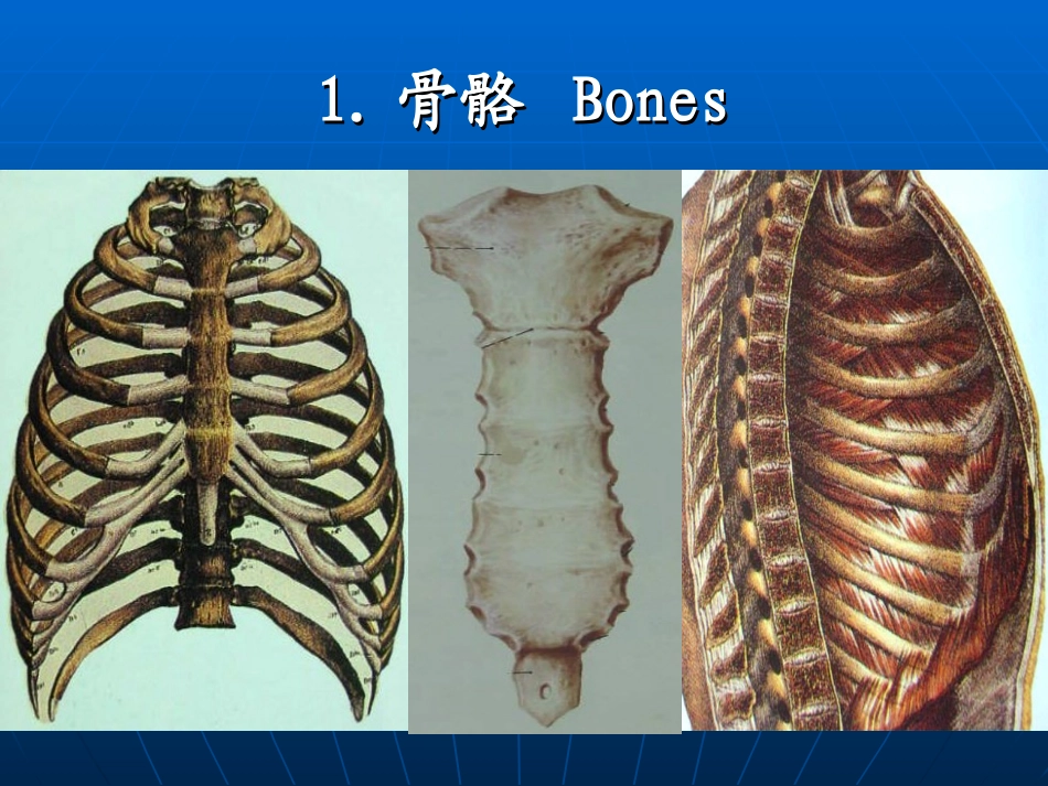 胸部损伤-医考.ppt_第2页