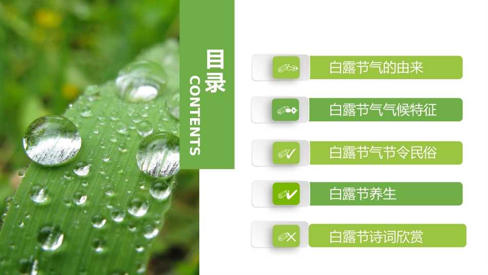 节气白露精美PPT模板.pptx_第2页