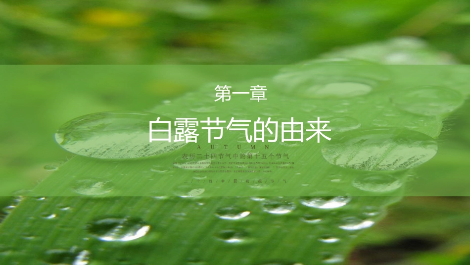 节气白露精美PPT模板.pptx_第3页