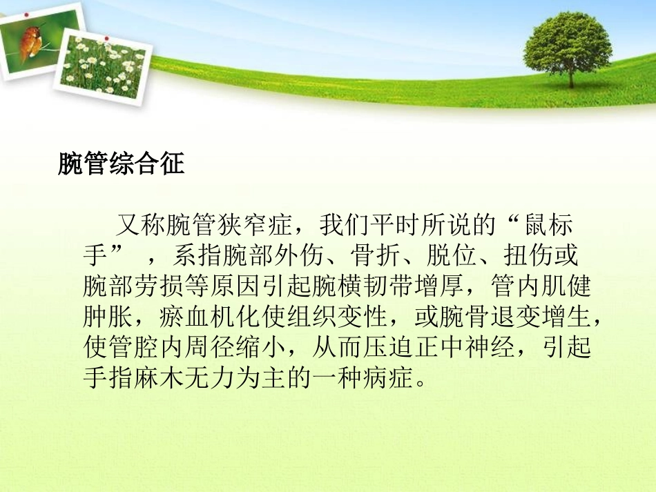 腕管综合症.ppt_第3页