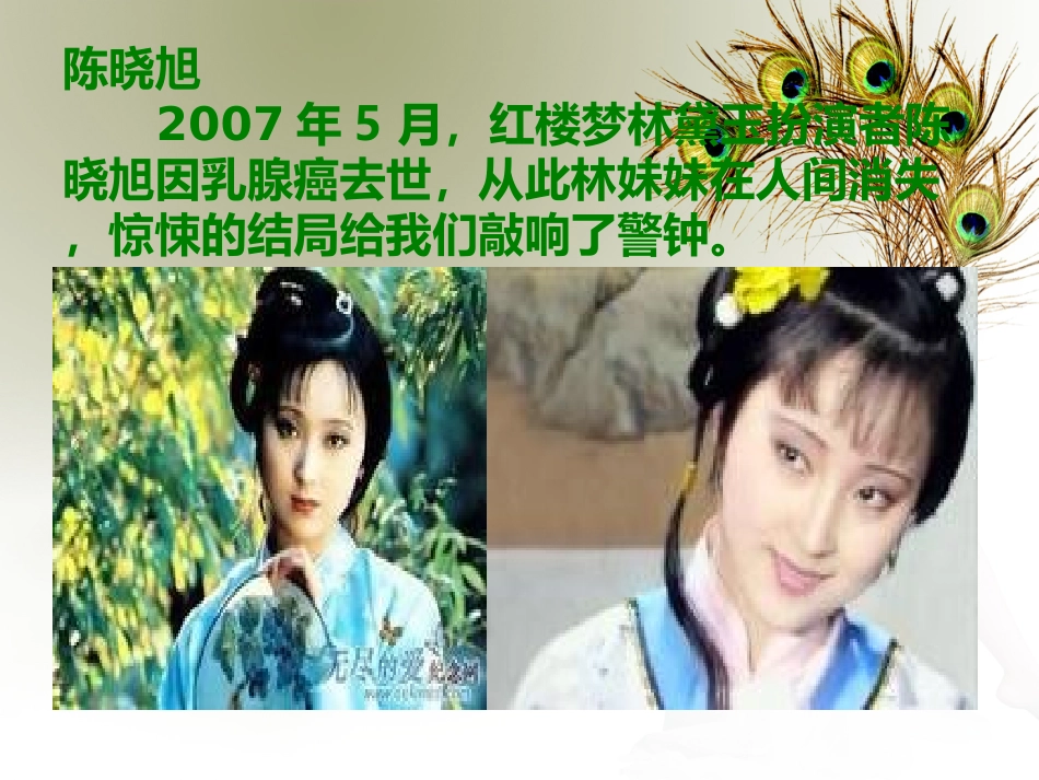 胸部专业知识.ppt_第3页