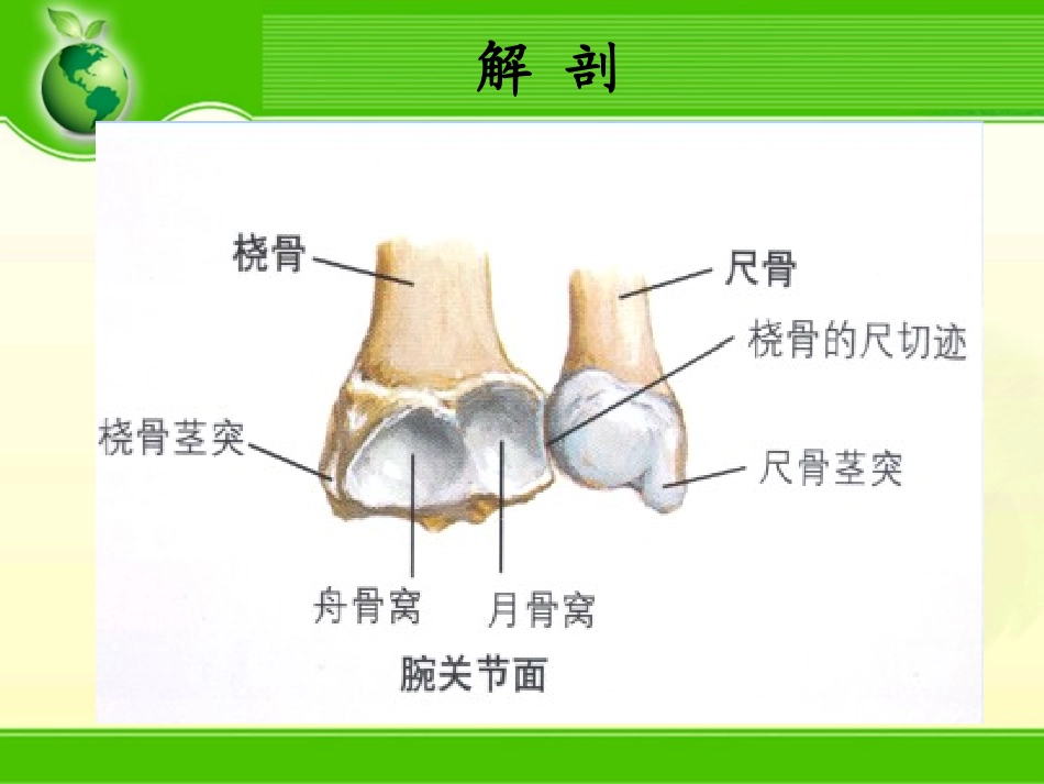 腕关节骨折.ppt_第3页