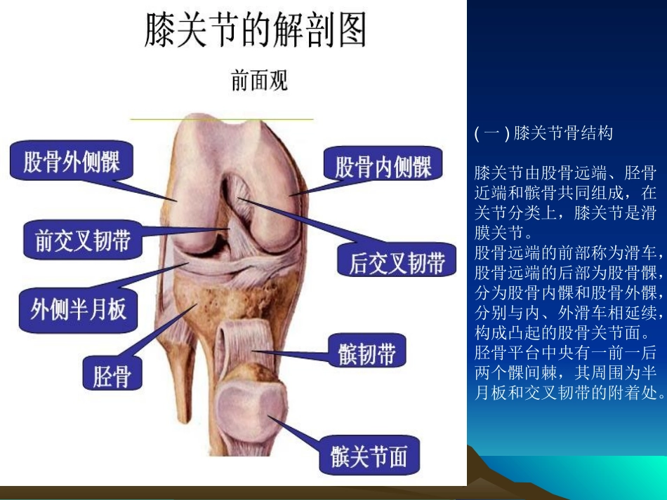 膝关节镜手术后的康复.ppt_第2页