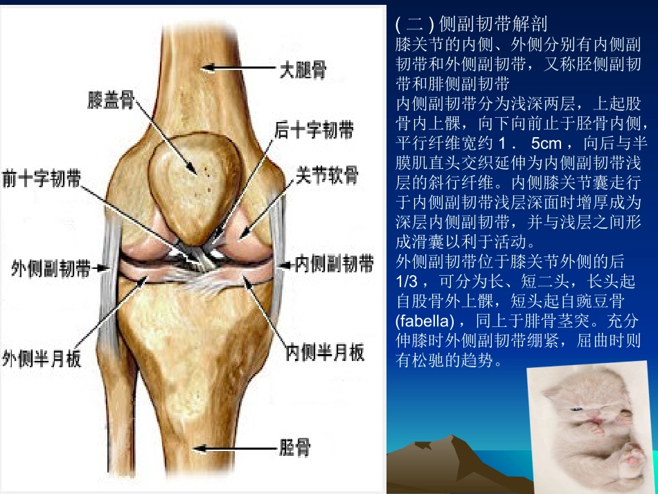 膝关节镜手术后的康复.ppt_第3页