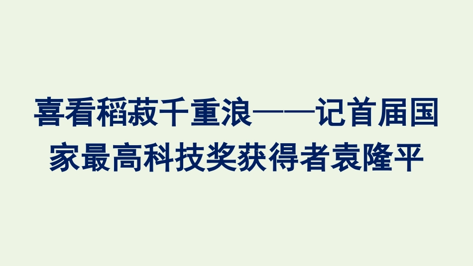 菽千重浪__记首届国家最高科技奖获得者袁隆平课件新人教版必修上册.pptx_第1页