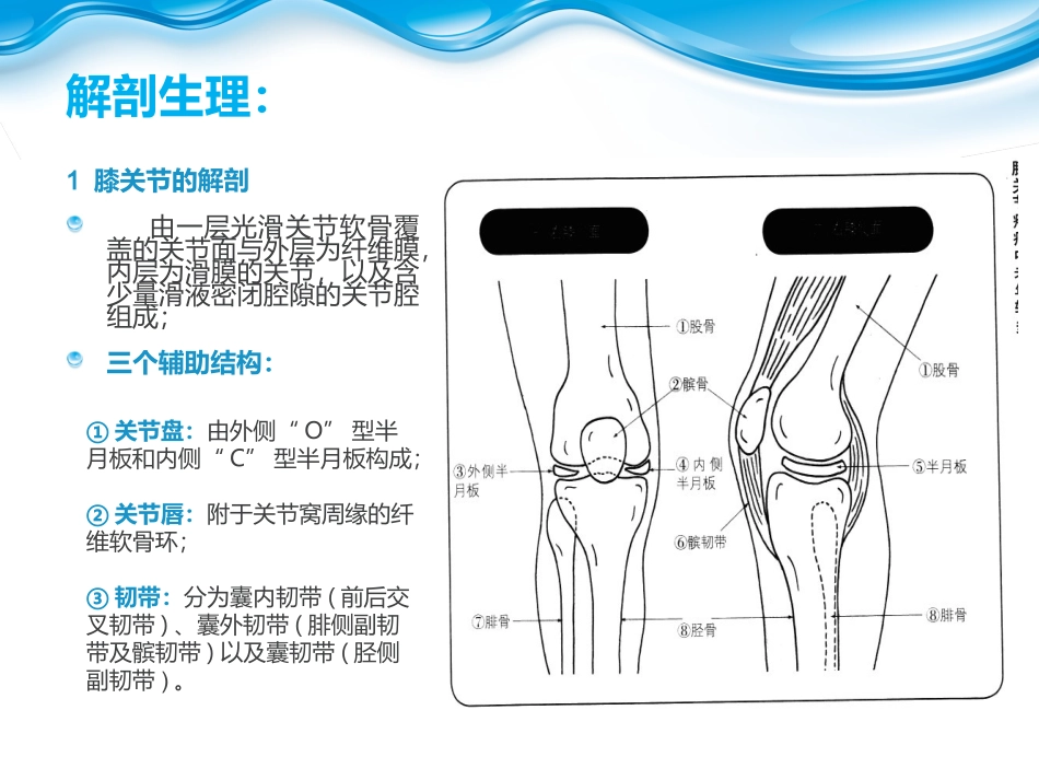 退行性膝关节病变.ppt_第3页