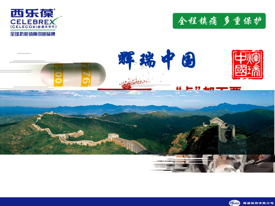 西乐葆骨科围手术期镇痛.ppt_第1页