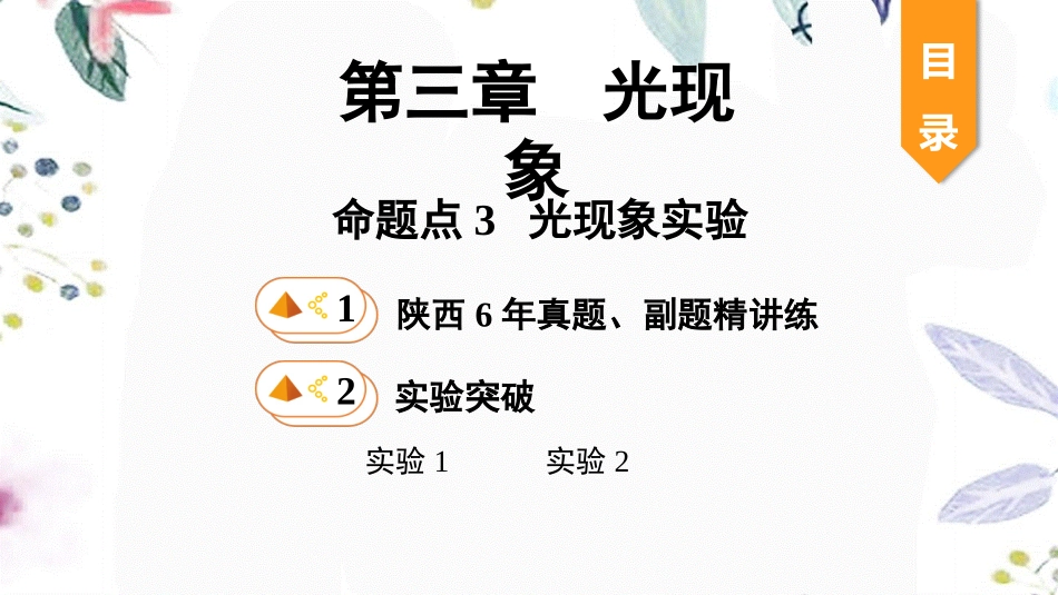 陕西省2023学年年中考物理一轮复习基醇点一遍过第三章光现象命题点3光现象实验课件2.pptx_第1页