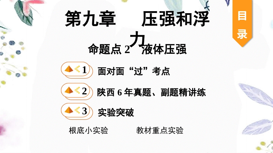 陕西省2023学年年中考物理一轮复习基醇点一遍过第十章压强和浮力命题点2液体压强课件2.pptx_第1页