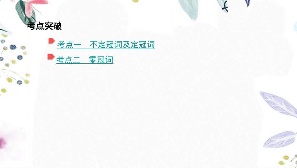 2023学年中考英语语法过关专题三冠词课件人教新目标版.pptx_第2页