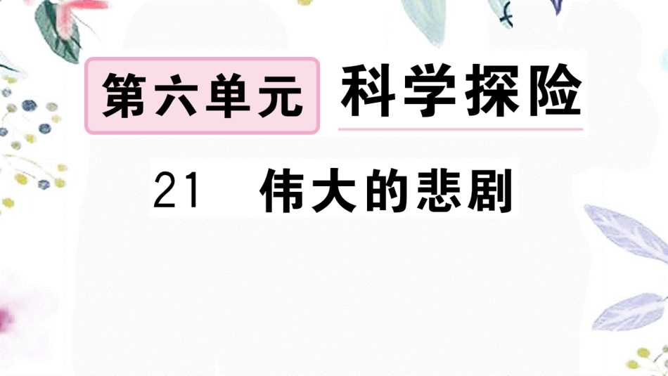 黄冈专版2023学年春七年级语文下册第六单元21伟大的悲剧习题课件（人教版）2.ppt_第1页