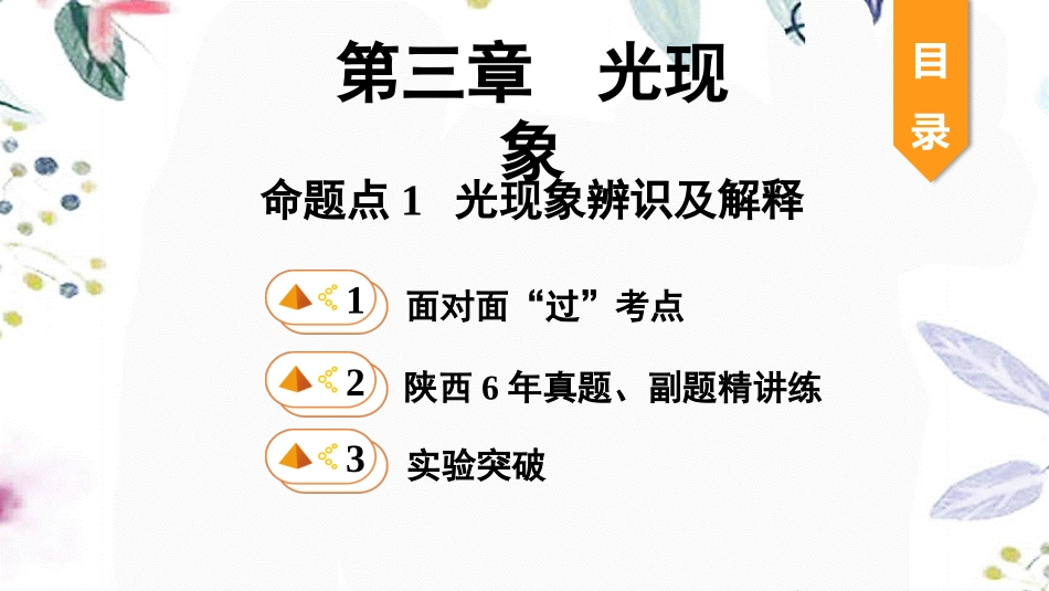 陕西省2023学年年中考物理一轮复习基醇点一遍过第三章光现象命题点1光现象辨识及解释课件2.pptx_第1页