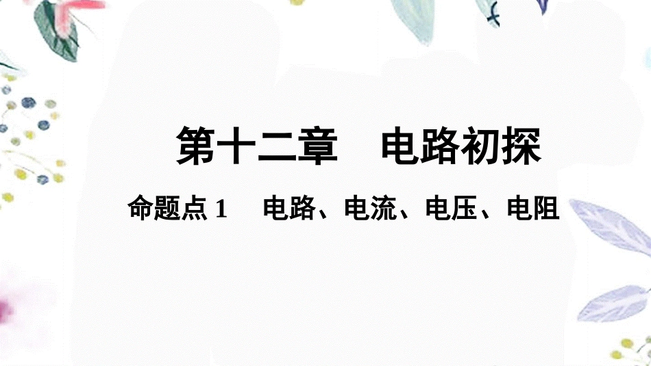 陕西省2023学年年中考物理一轮复习基醇点一遍过第十三章电路初探命题点1电路电流电压电阻课件2.pptx_第1页