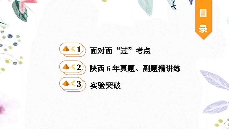 陕西省2023学年年中考物理一轮复习基醇点一遍过第十三章电路初探命题点1电路电流电压电阻课件2.pptx_第2页