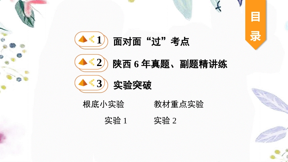 陕西省2023学年年中考物理一轮复习基醇点一遍过第八章力第九章力与运动命题点2力与运动课件2.pptx_第2页