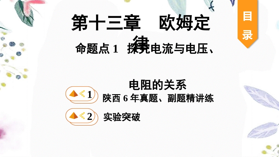 陕西省2023学年年中考物理一轮复习基醇点一遍过第十四章欧姆定律命题点1探究电流与电压电阻的关系课件2.pptx_第1页