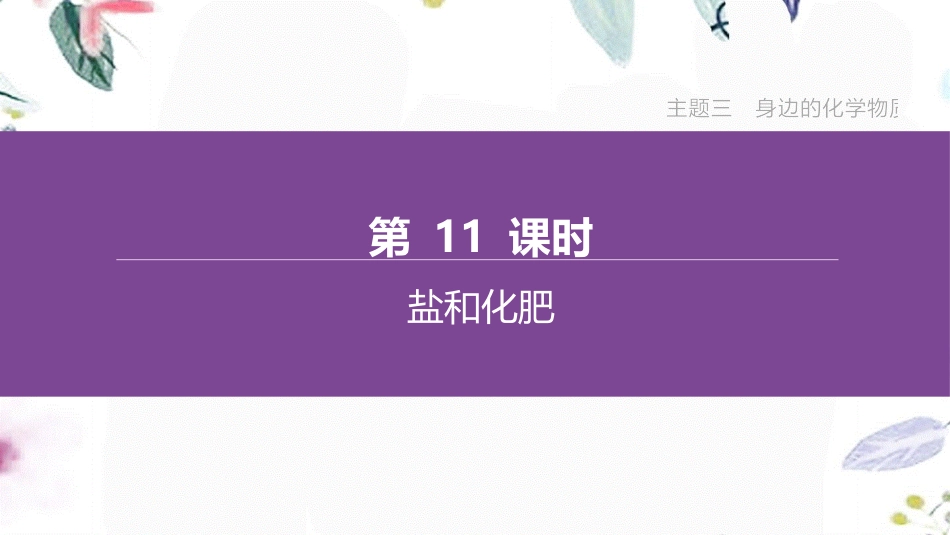 福建专版2023学年中考化学复习方案主题三身边的化学物质第11课时盐和化肥课件2.pptx_第1页