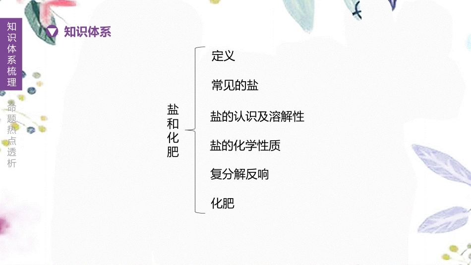 福建专版2023学年中考化学复习方案主题三身边的化学物质第11课时盐和化肥课件2.pptx_第2页