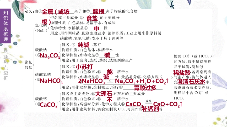 福建专版2023学年中考化学复习方案主题三身边的化学物质第11课时盐和化肥课件2.pptx_第3页