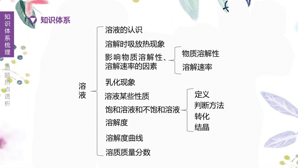 福建专版2023学年中考化学复习方案主题三身边的化学物质第08课时溶液课件2.pptx_第2页