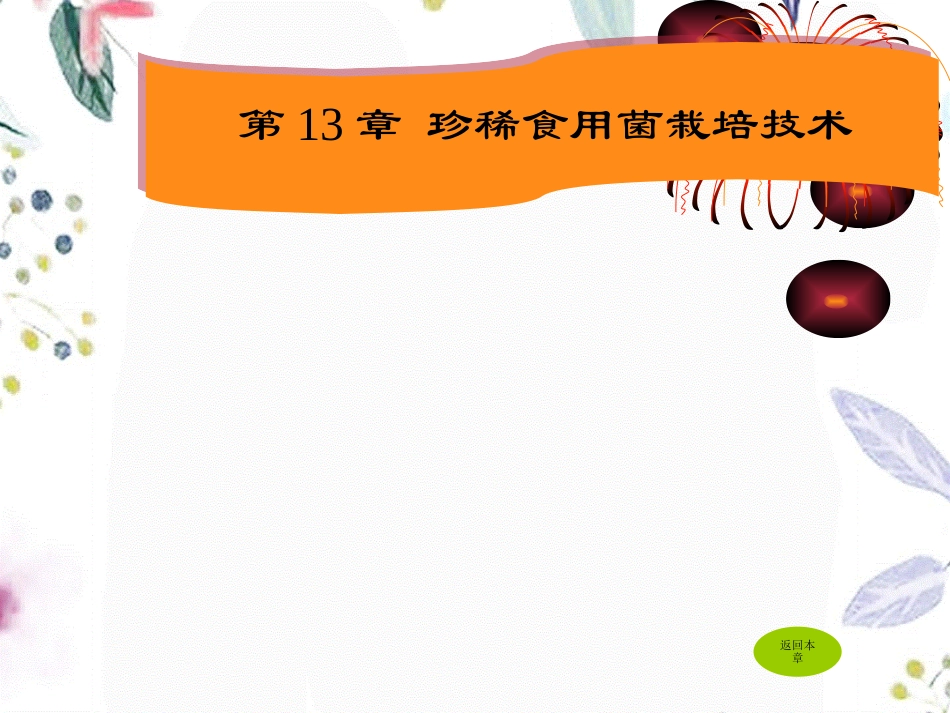 2023年 珍稀食用菌栽培技术（教学课件）.ppt_第1页