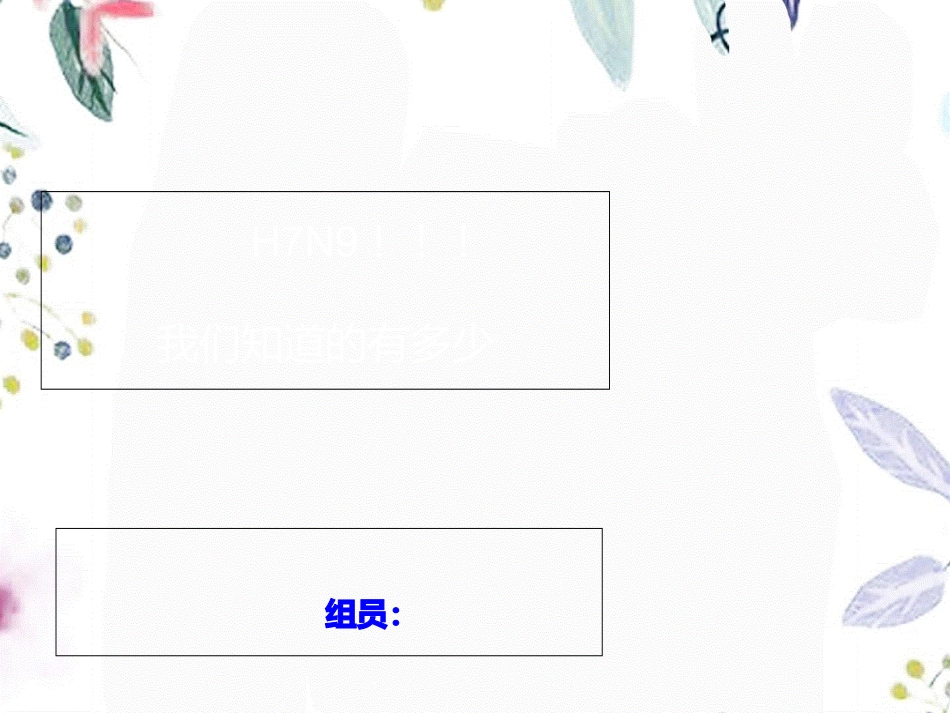 2023年HN（教学课件）.ppt_第1页