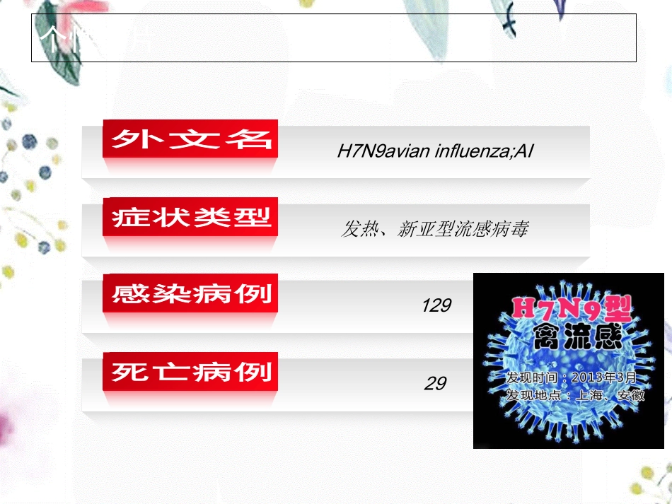 2023年HN（教学课件）.ppt_第2页