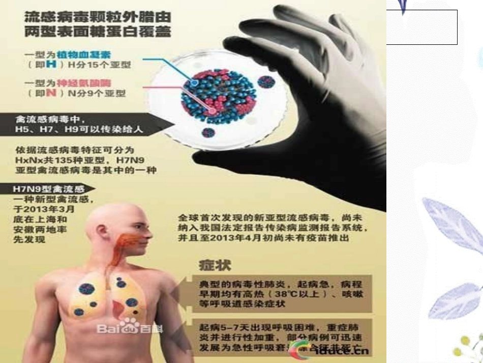 2023年HN（教学课件）.ppt_第3页