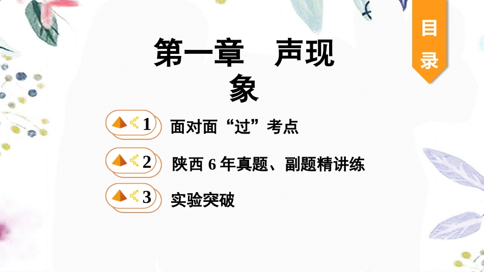 陕西省2023学年年中考物理一轮复习基醇点一遍过第一章声现象课件22.pptx_第1页