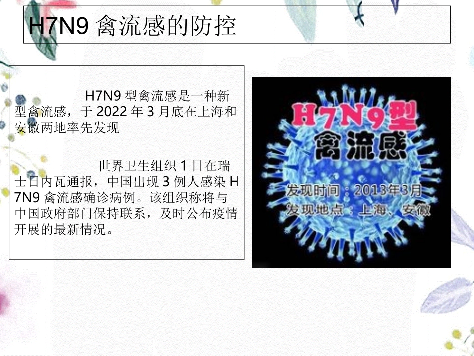 2023年HN禽流感防治PPT2（教学课件）.ppt_第2页