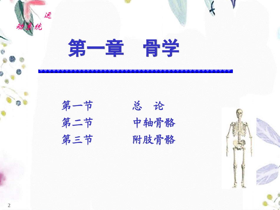 2023年chapter骨学（教学课件）.ppt_第2页