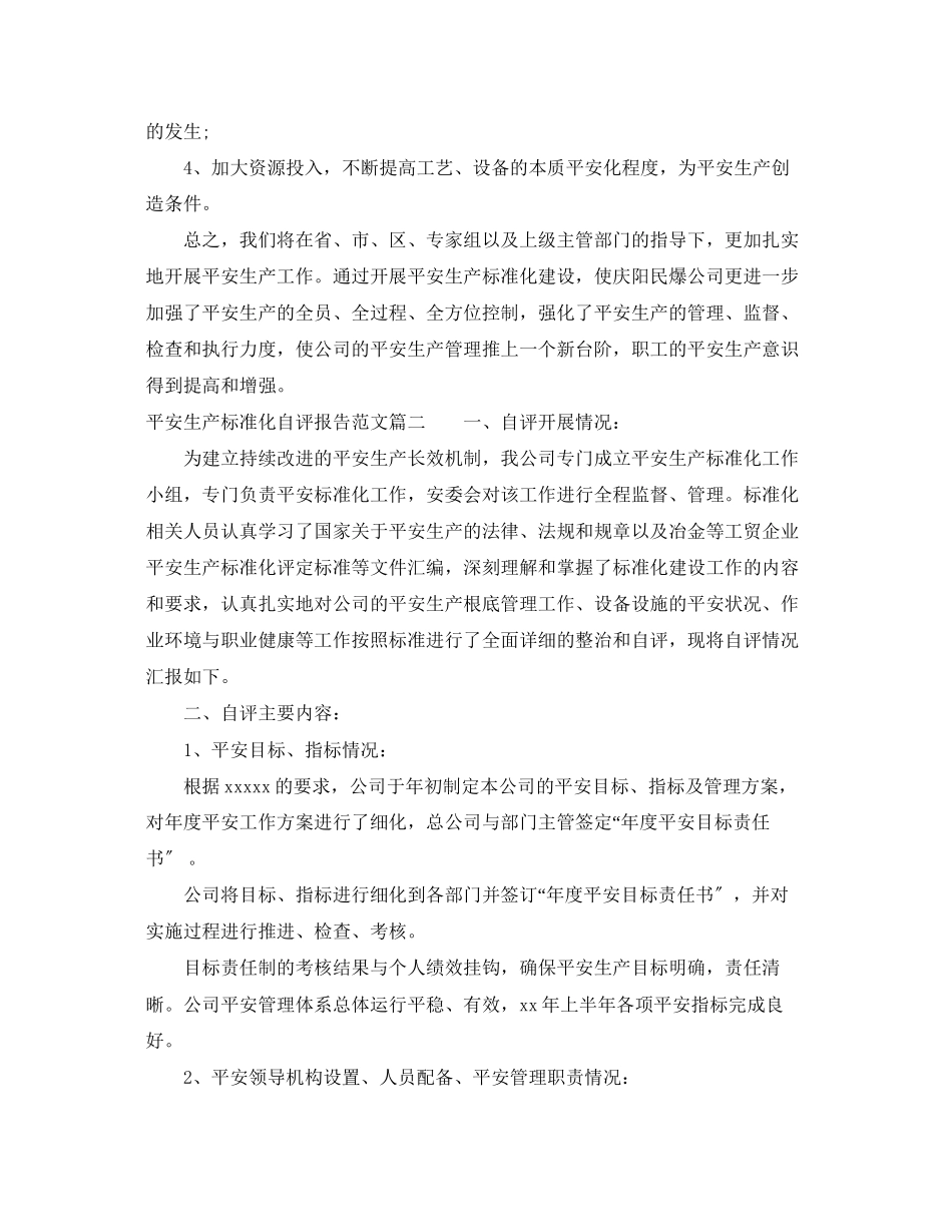 2023年安全生产标准化自评报告范文.docx_第3页