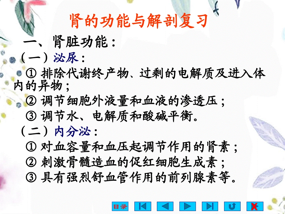 2023年benke泌尿（教学课件）.ppt_第2页