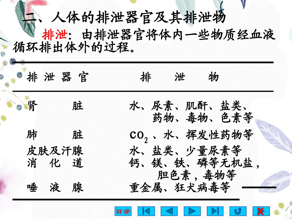 2023年benke泌尿（教学课件）.ppt_第3页