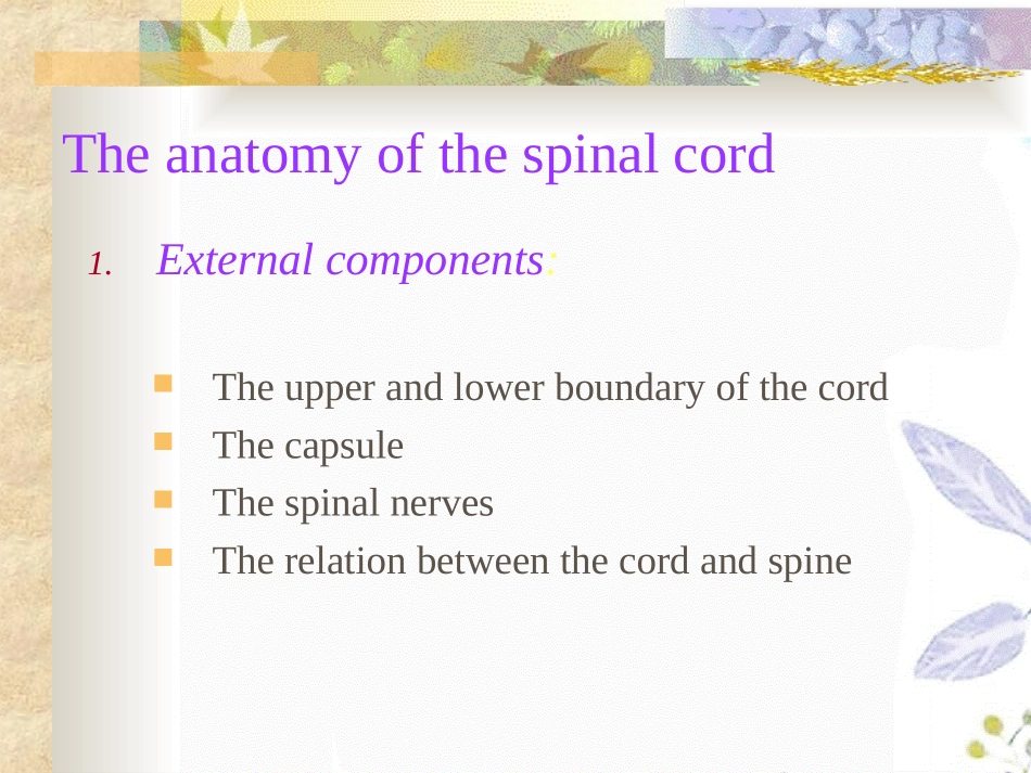 2023年Diseasesofthespinalcord（教学课件）.ppt_第3页