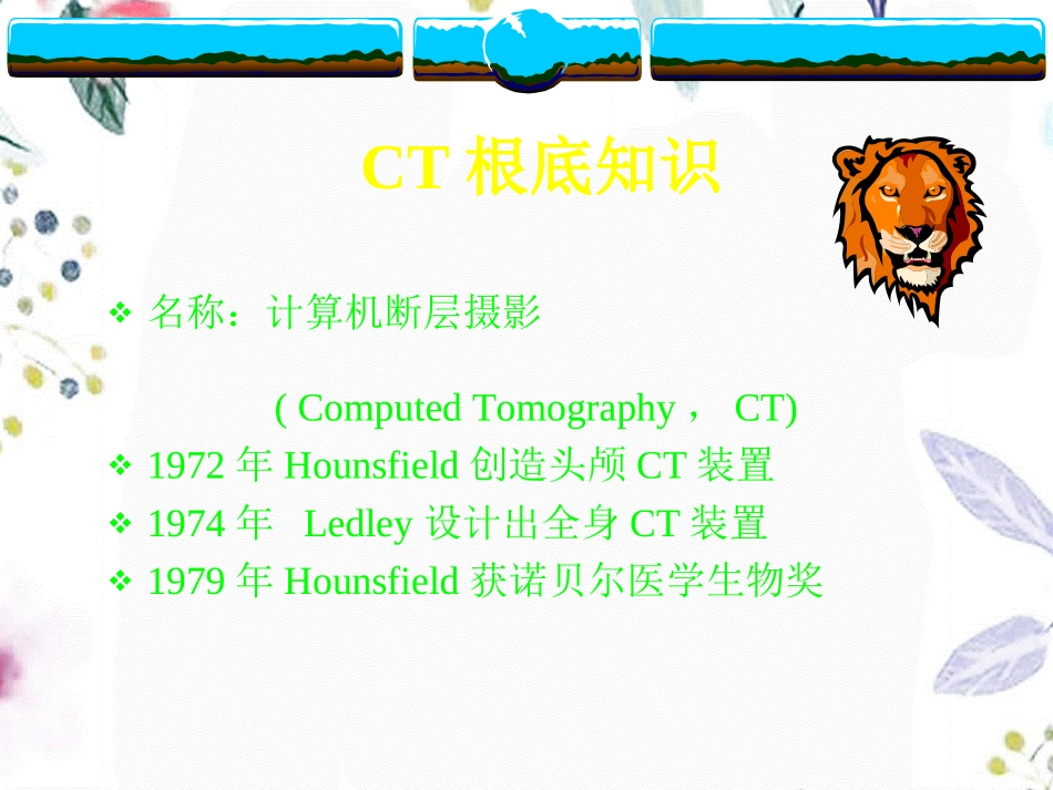 2023年CT检查与诊断入门（教学课件）.ppt_第3页