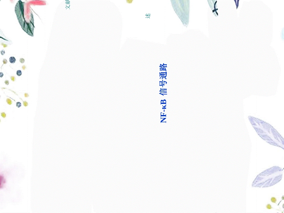 2023年NFKB信号通路综述（教学课件）.ppt_第1页