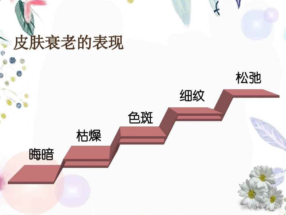 2023年BB活细胞护肤素（教学课件）.ppt_第2页