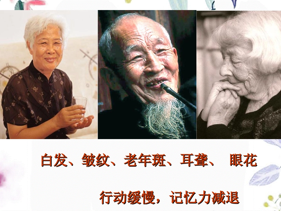 2023年《细胞的衰老凋亡和癌变》新人教必修（教学课件）.ppt_第3页