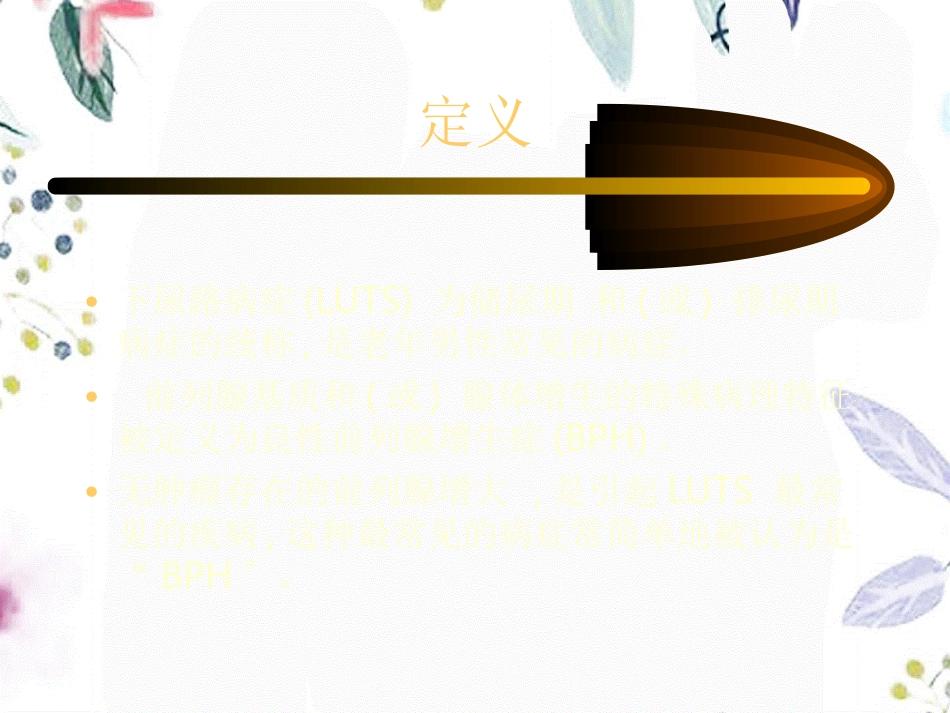 2023年BPH推荐意见（教学课件）.ppt_第2页