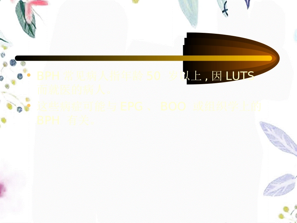 2023年BPH推荐意见（教学课件）.ppt_第3页