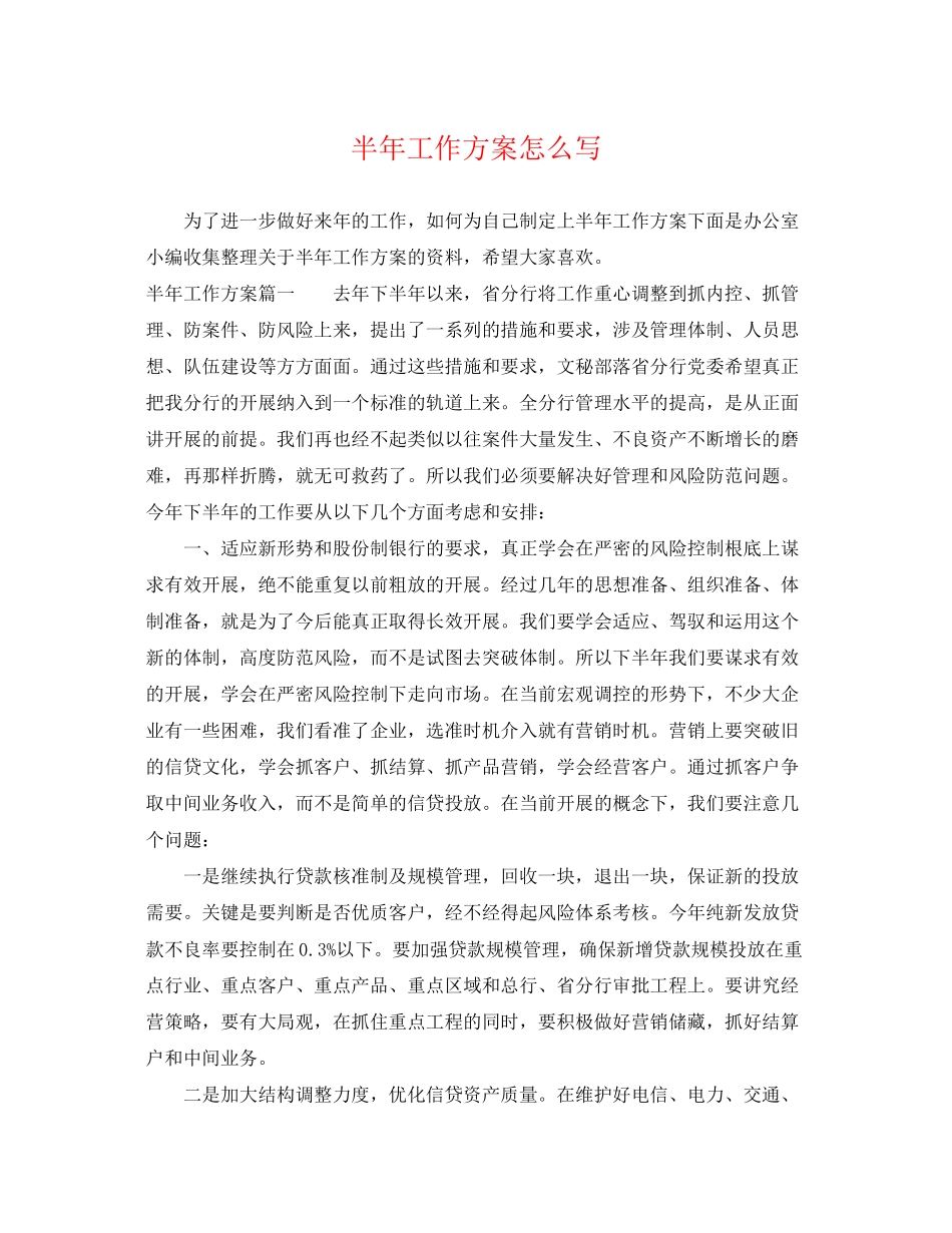 2023年半工作计划怎么写范文.docx_第1页