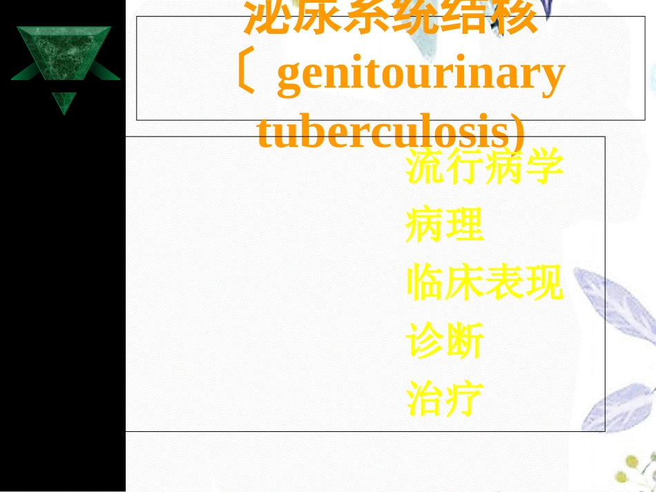 2023年版泌尿系结核诊疗指南（教学课件）.ppt_第3页
