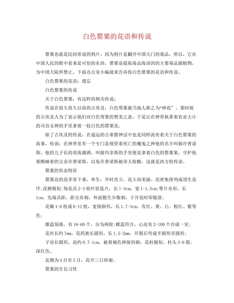 2023年白色罂粟的花语和传说.docx_第1页